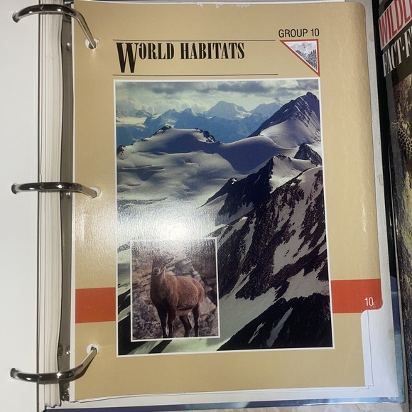 wildlife fact file Sections 6-11, Roughly 350 Cards - Picture 10 of 15